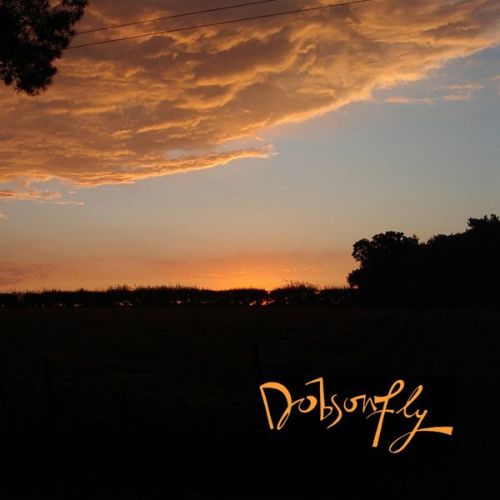 Dobsonfly: 'Dobsonfly EP' - track Paper Plates & Cigarettes