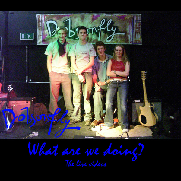'What Are We Doing?' (Video CD) by Dobsonfly cover